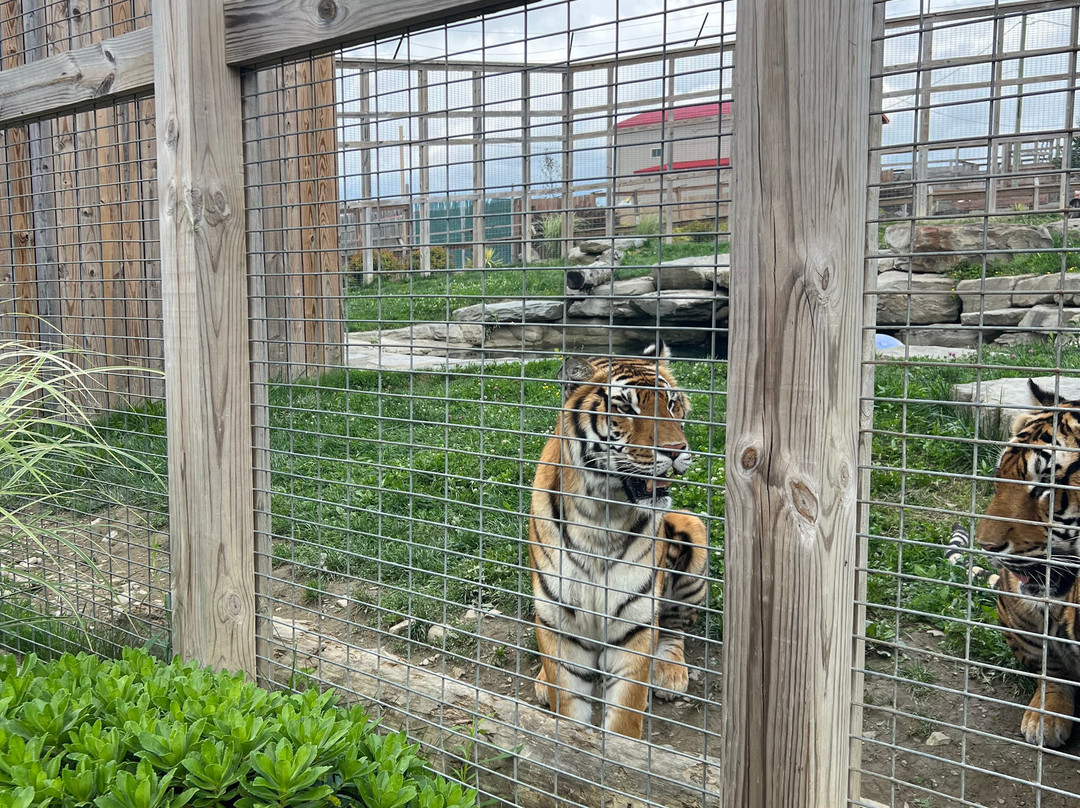 Animal Adventure Park-Harpursville必去景点