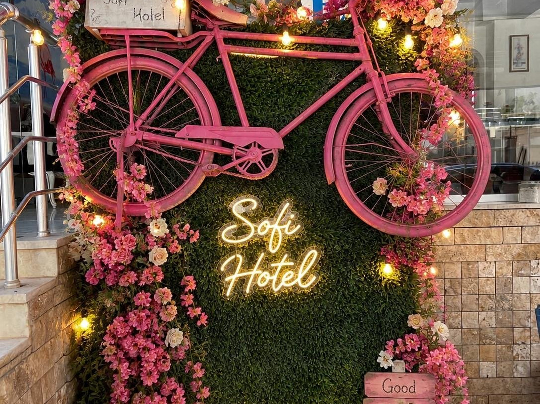 Safi Hotel主图