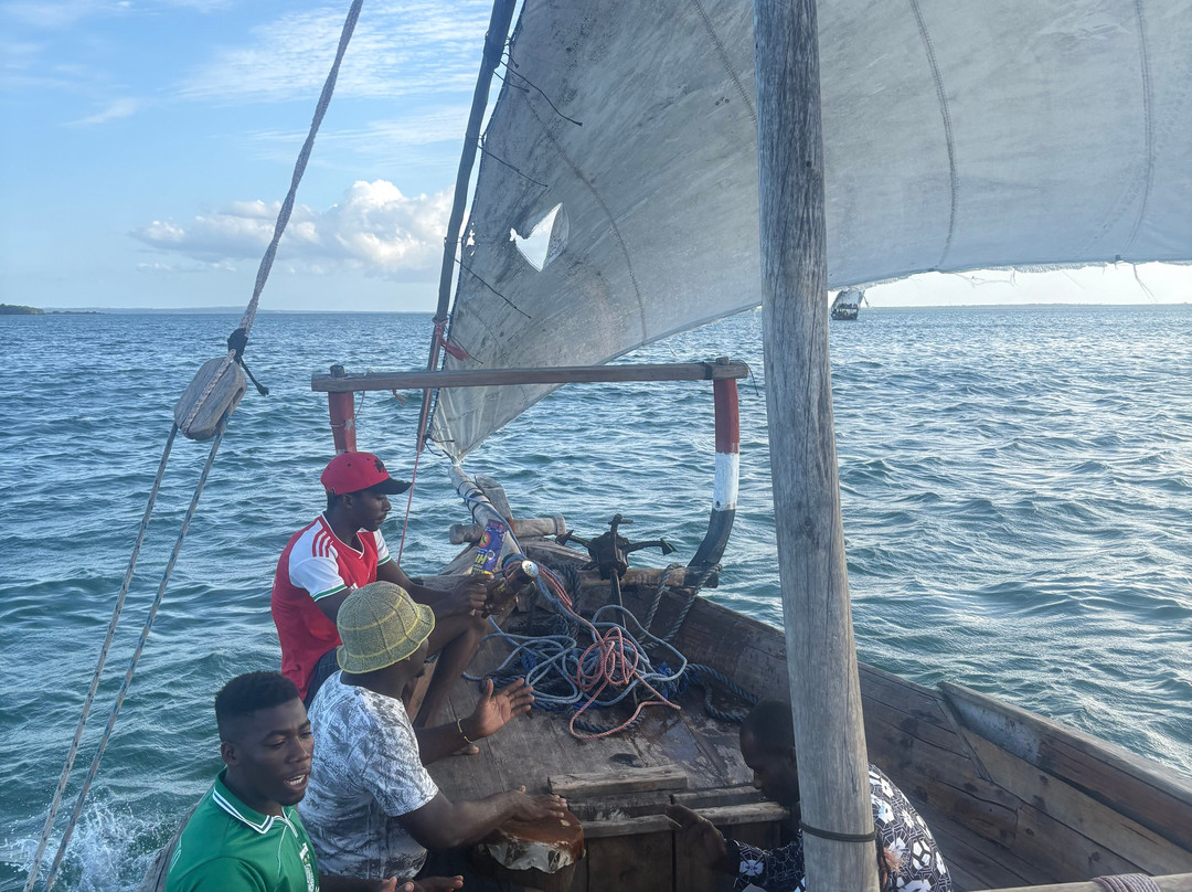 ZanzibarLeisureTours & Safaris-桑给巴尔市必去景点