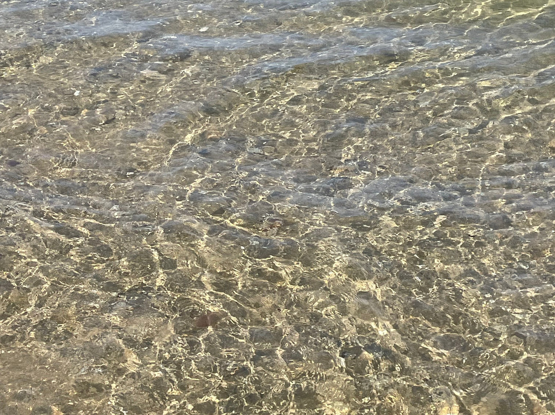 Spiaggia di Torre San Gennaro-Torchiarolo必去景点