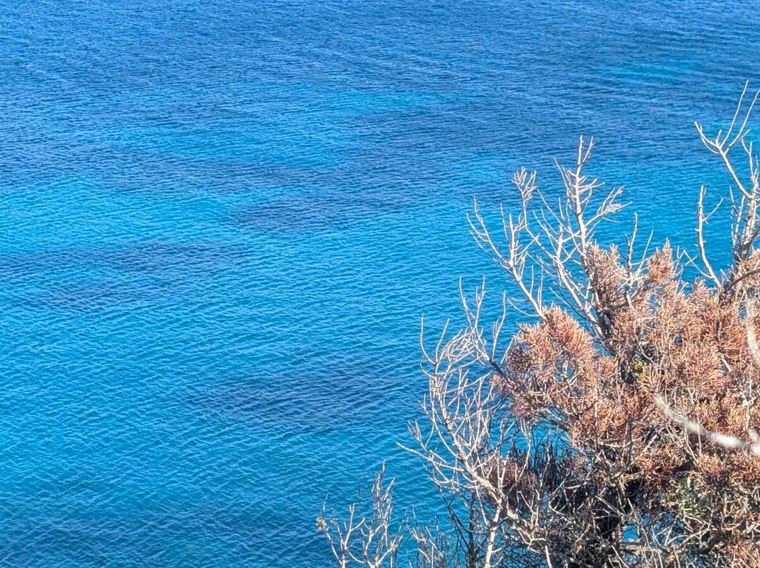 Plage de Canella-Sari-Solenzara必去景点