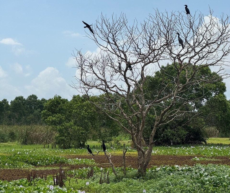 Wildlife Wonders Sri Lanka-唐卡拉必去景点