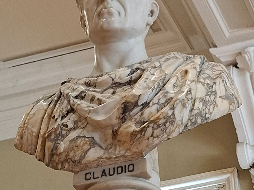 Leeds City Museum-利兹必去景点
