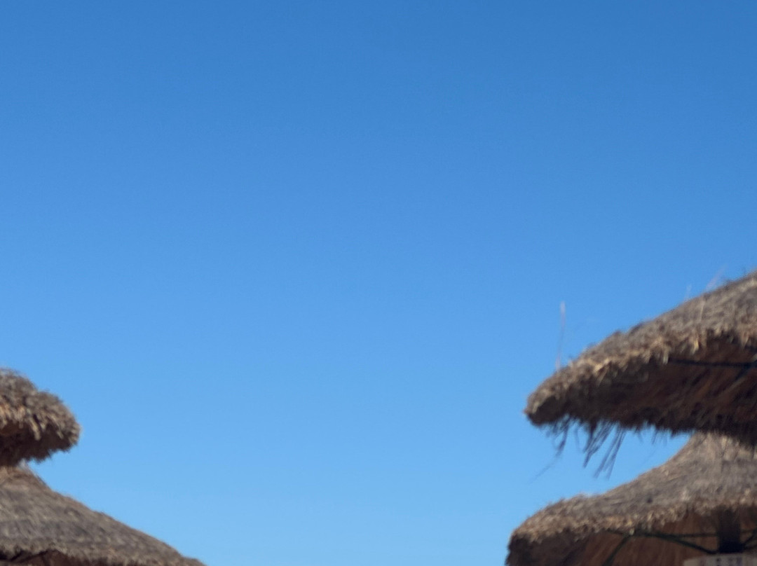 Playa de Palmanova - Palmanova Beach-Palmanova必去景点