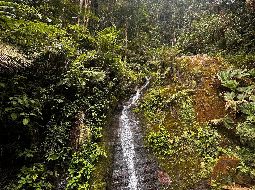 Parque Natural Los Tunos-San Antonio del Tequendama必去景点