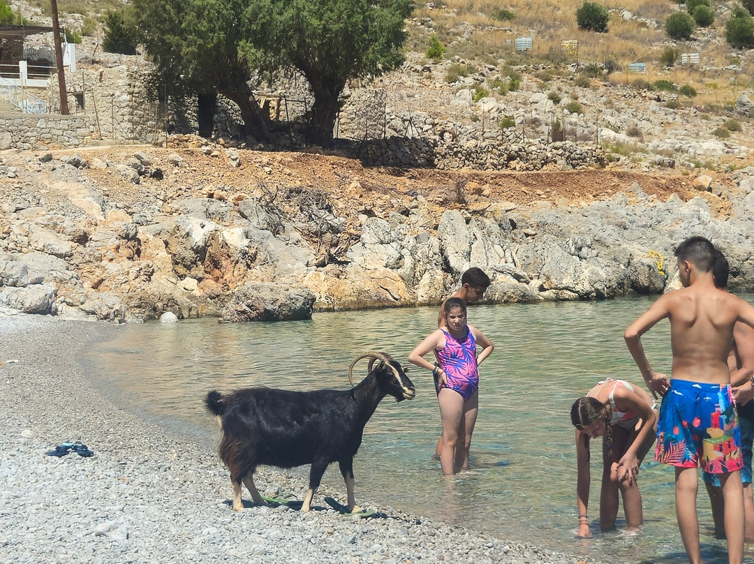 Symi Tours Bus Excursions-Gialos必去景点