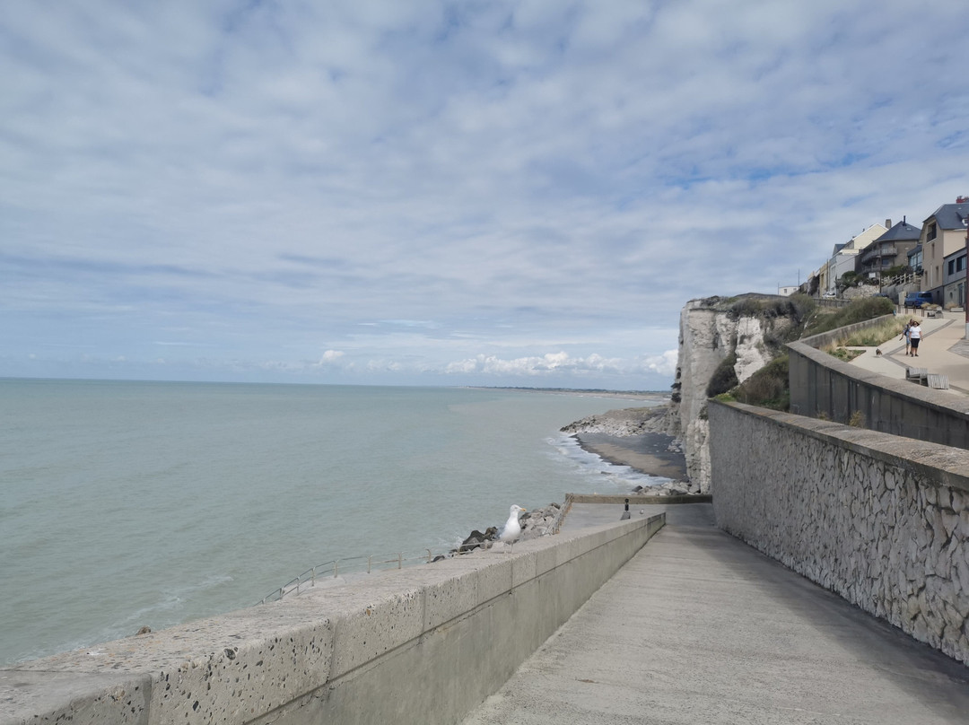 Beach of Bois de Cise-Ault必去景点