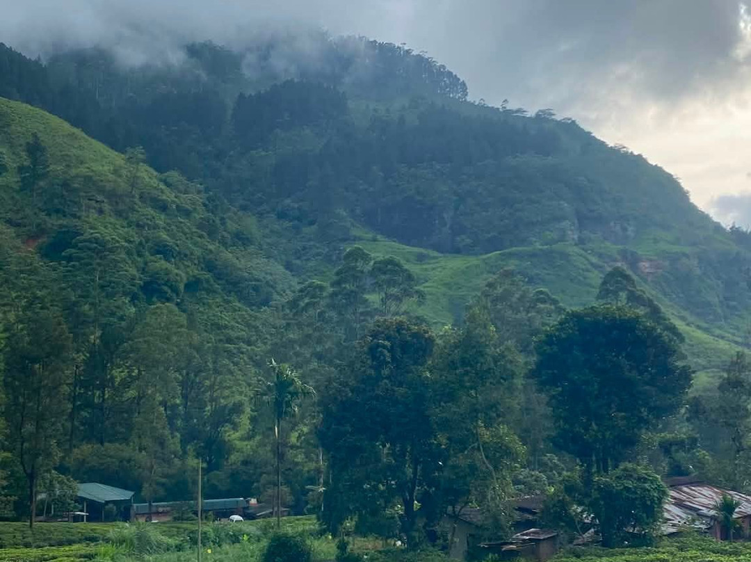 Sri Lankan Triptip - Explore the Island-Kamburugamuwa必去景点