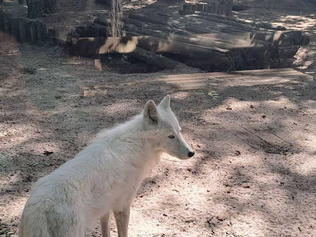 Zoo de La Fleche-La Fleche必去景点