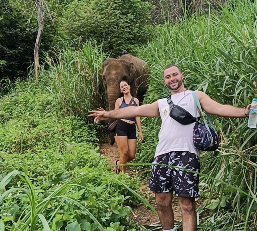 Elephant Sanctuary Care Park-清迈必去景点