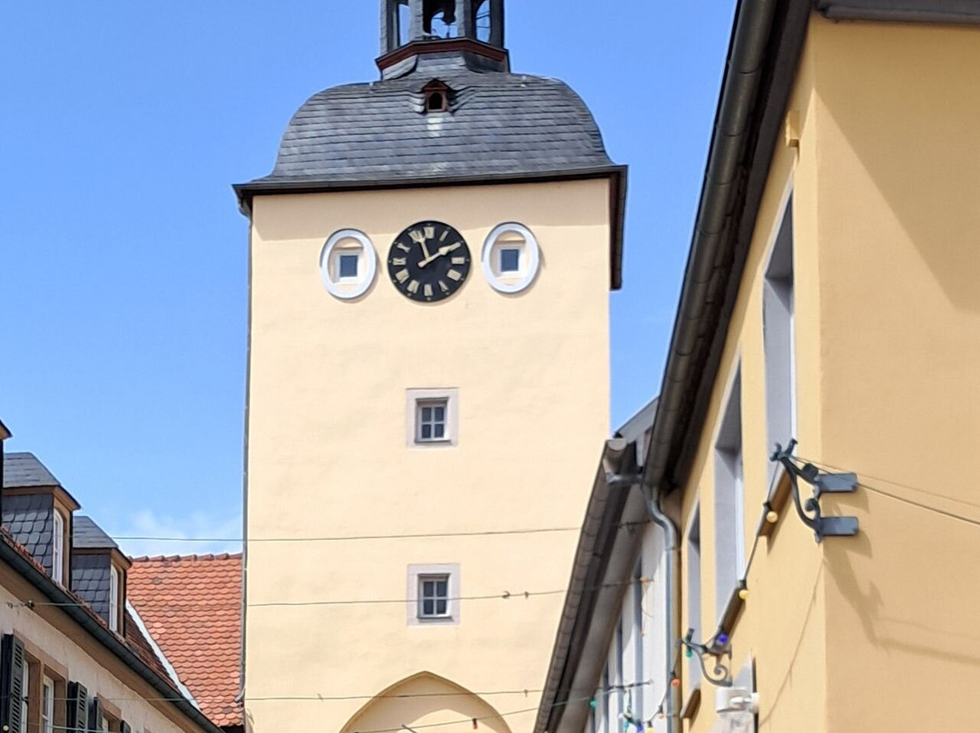 Altstadt-Kirchheimbolanden必去景点