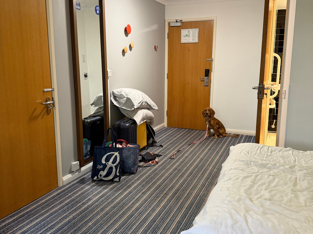 Holiday Inn Express 约克主图