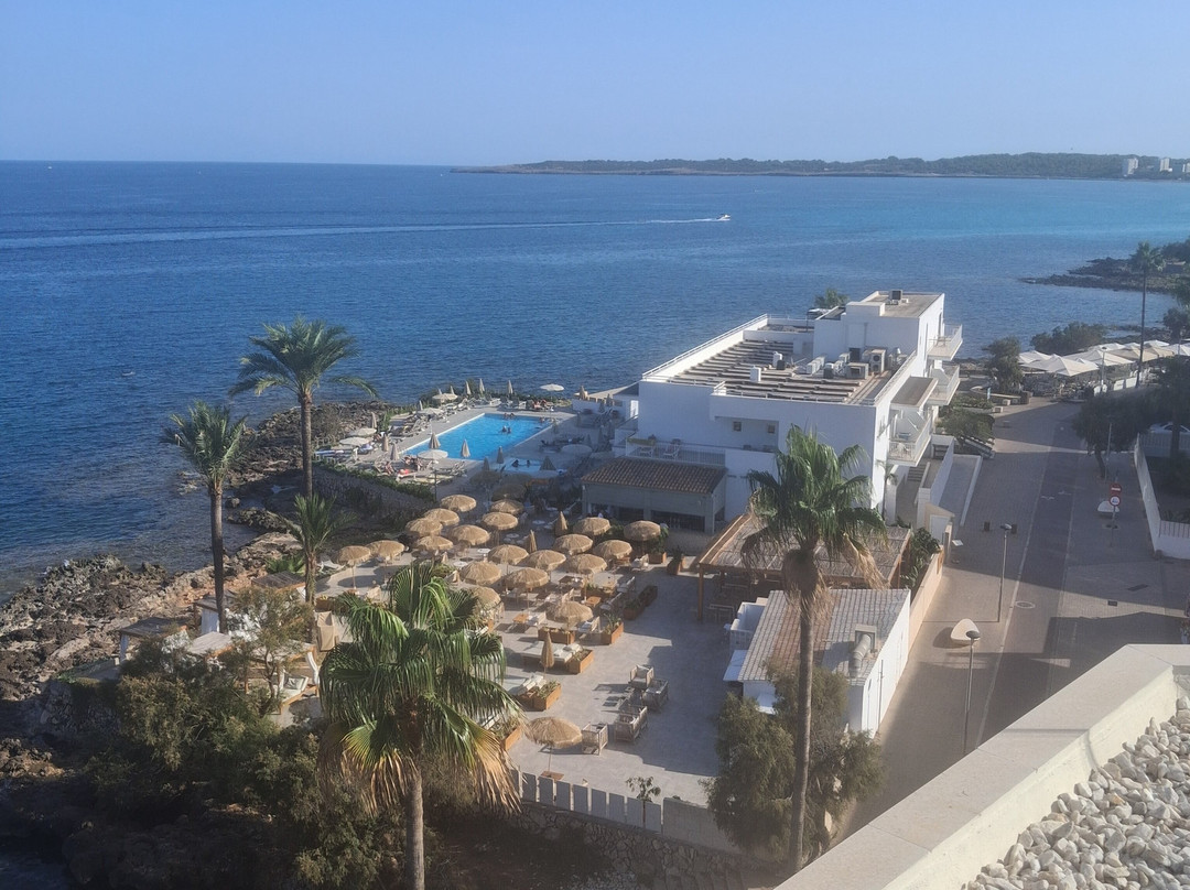 Protur Alicia Hotel主图