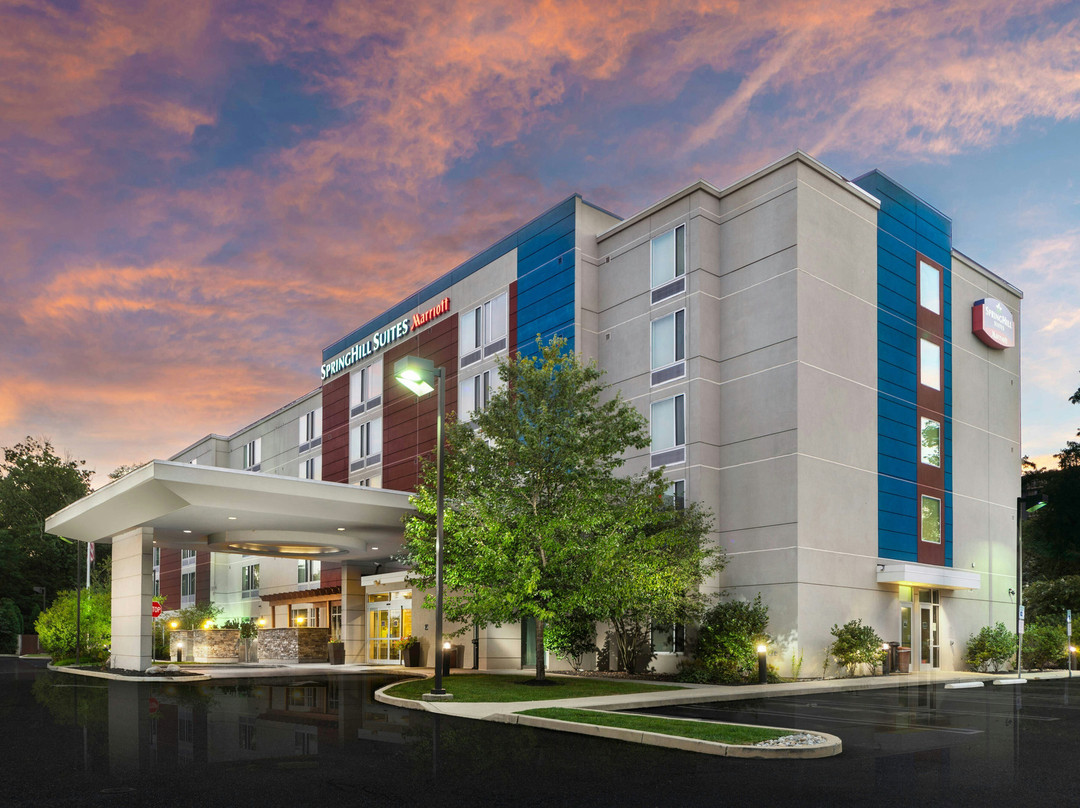 Valley Forge酒店住宿-SpringHill Suites by Marriott Philadelphia Valley Forge/King of Prussia