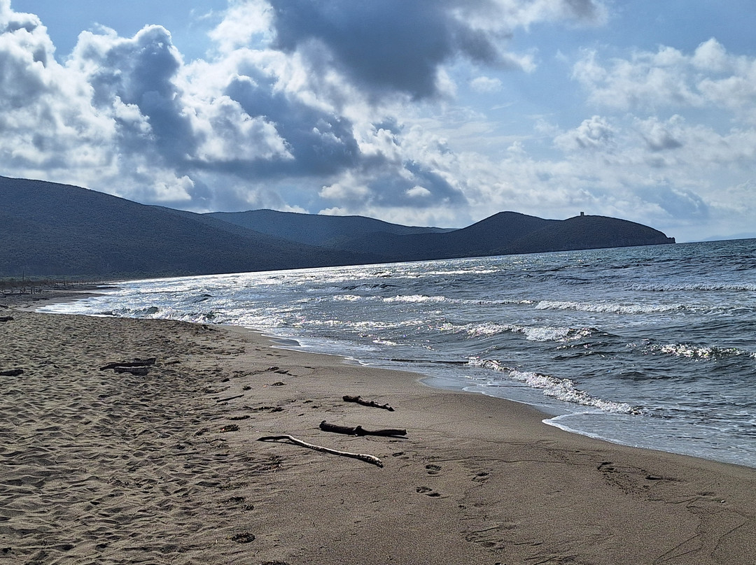 Carrozze di Maremma-Alberese必去景点