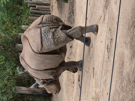 Tanganyika Wildlife Park-Goddard必去景点