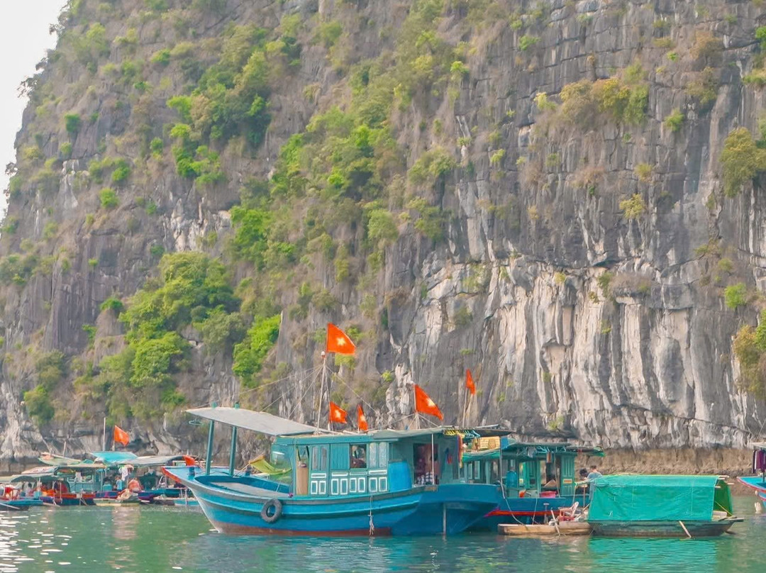Cat Co Beach-Cat Ba Town必去景点
