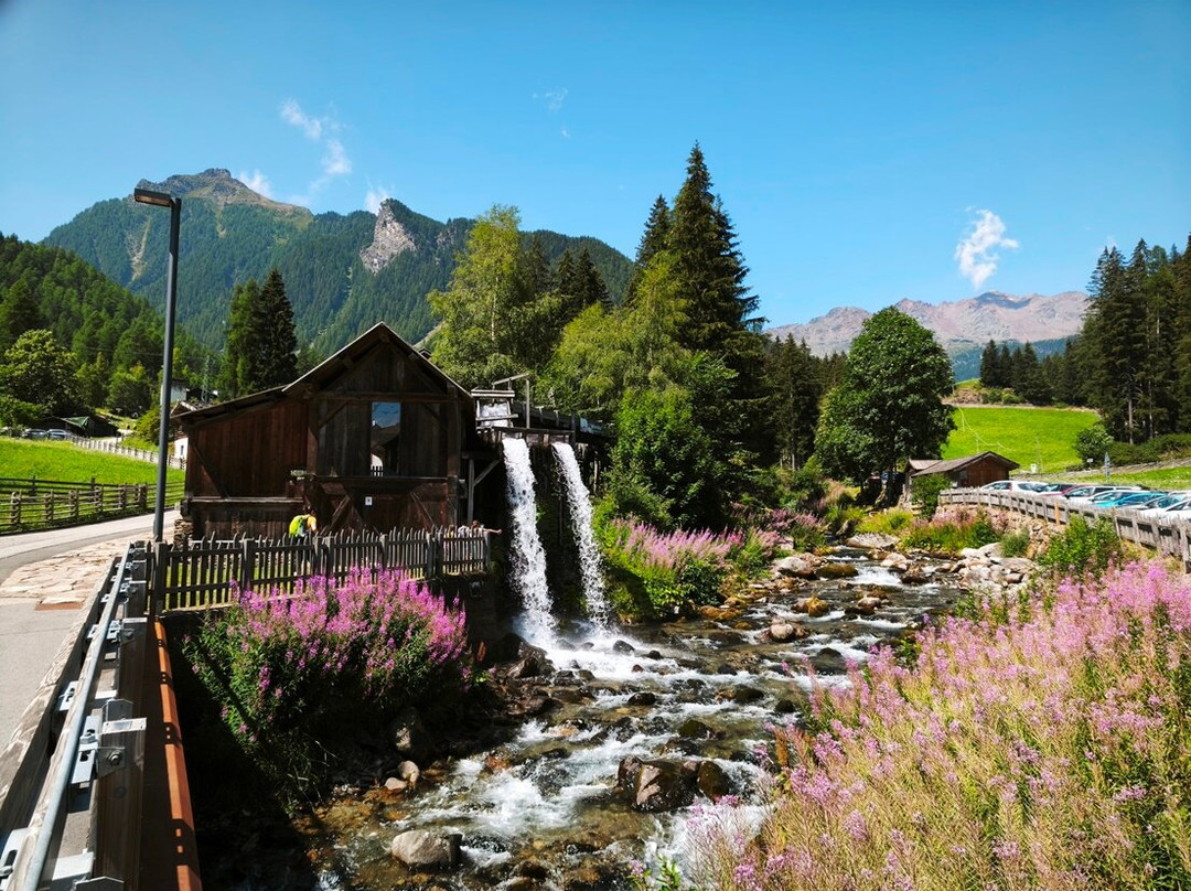 Ancient Larches of Val d'Ultimo Valley-Ultimo必去景点
