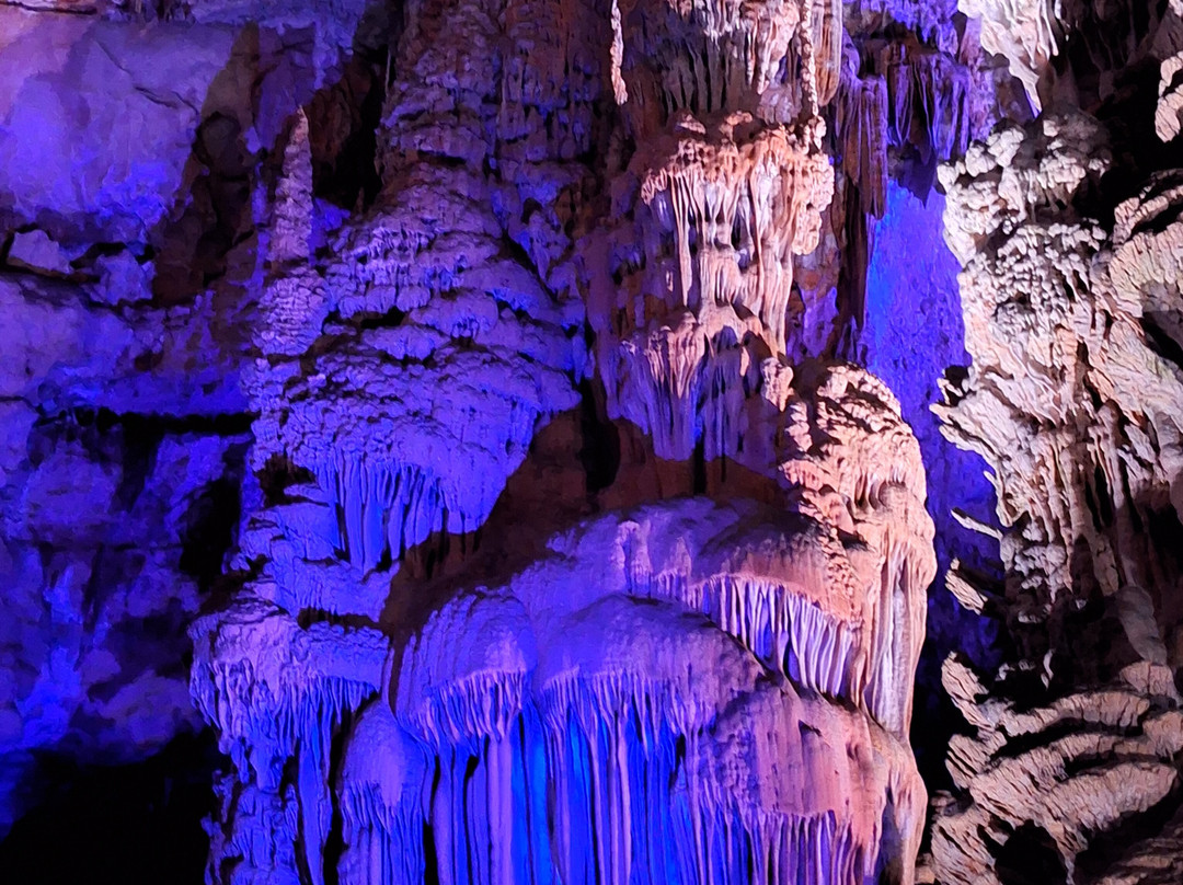 Grotte de la Salamandre-Mejannes-le-Clap必去景点