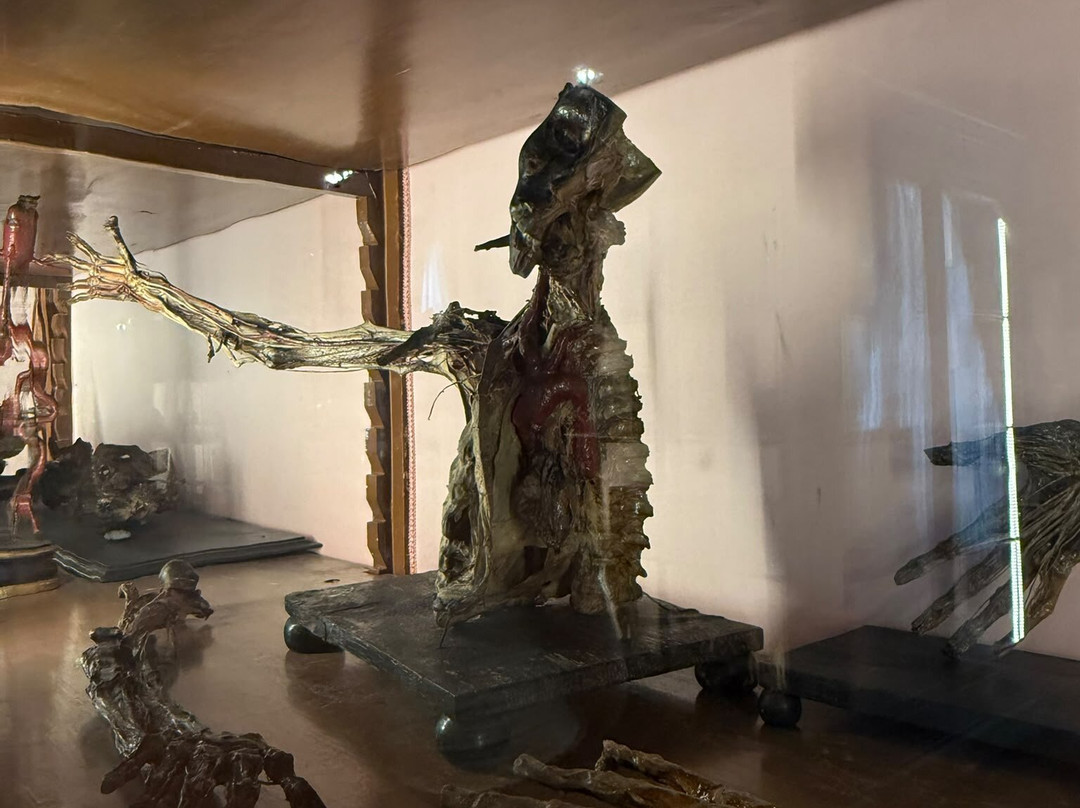 MUSA - Museo Universitario delle Scienze e delle Arti-那不勒斯必去景点