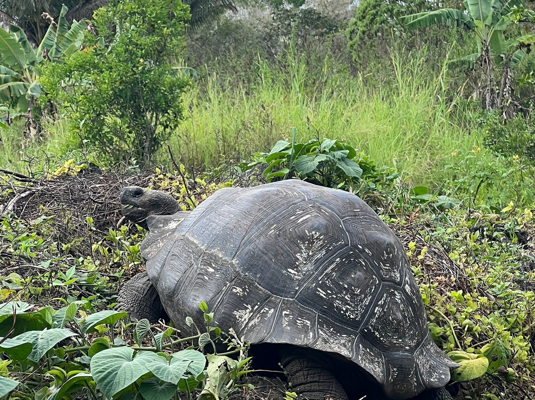 Reserva Galápagos Frontier-圣克鲁斯必去景点