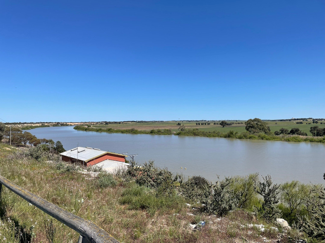 Murray River Views