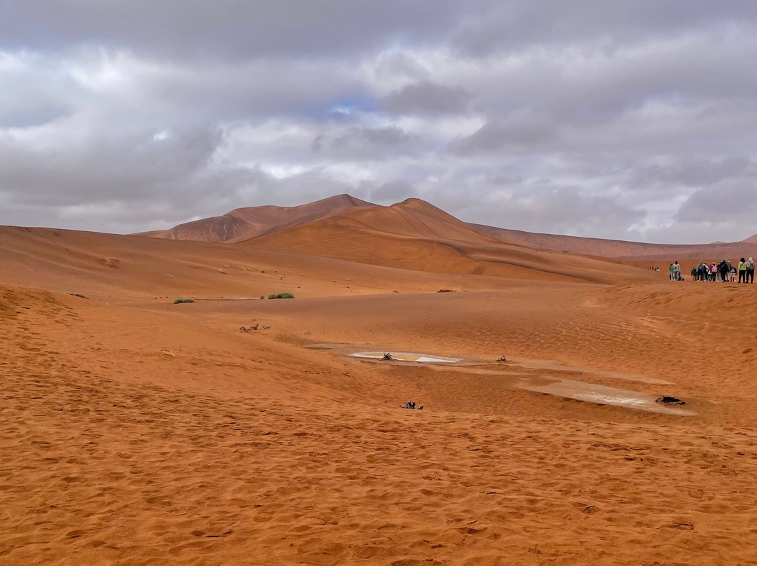Deadvlei-苏丝斯黎必去景点