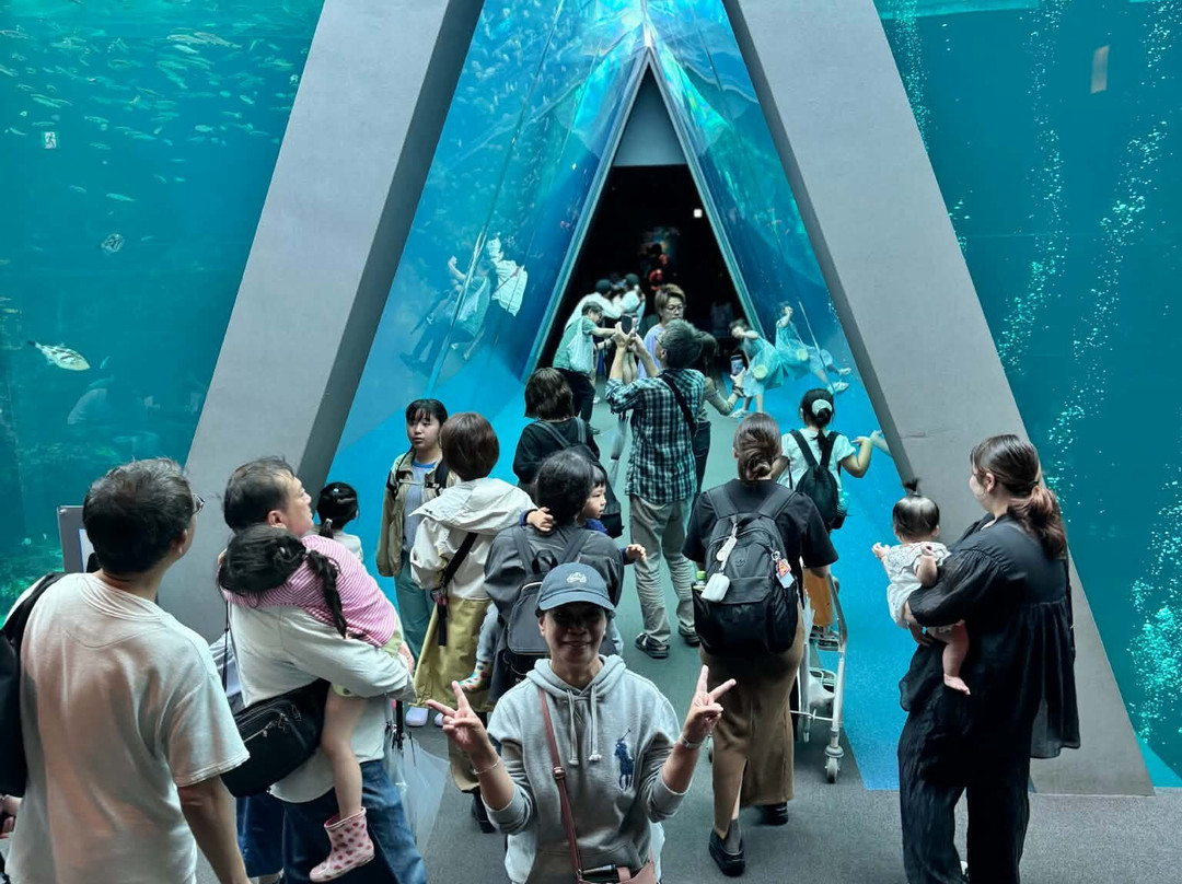 福岛水族馆-盘城市必去景点