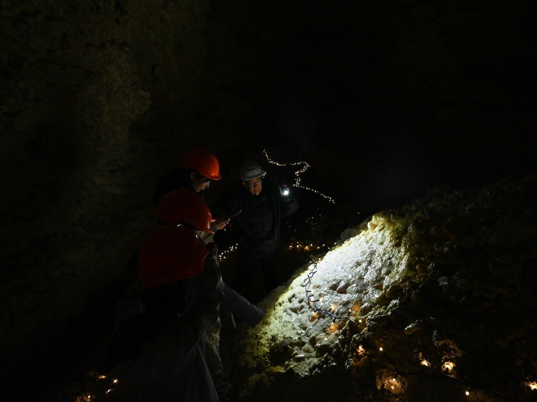 Kaikōura Cave Tours-Kaikoura必去景点