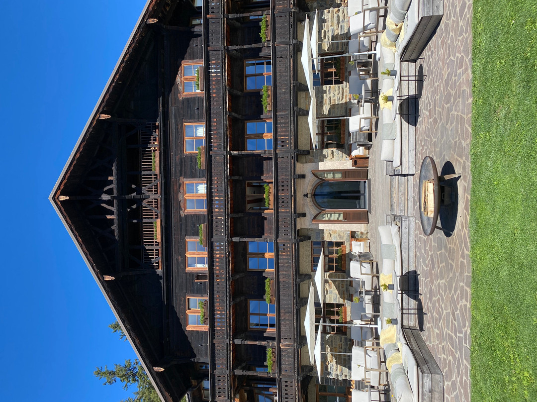 福雷斯蒂斯酒店Forestis Dolomites（意大利）主图