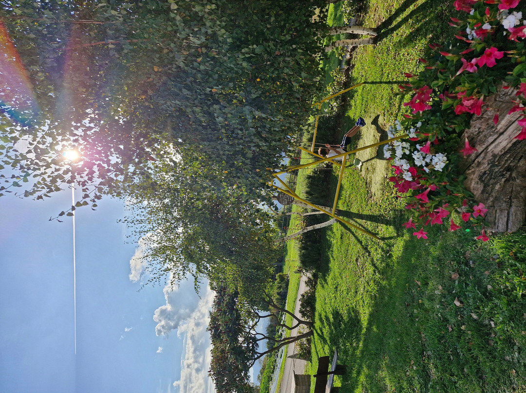 Ristorante dell'Azienda Agricola Pavoni