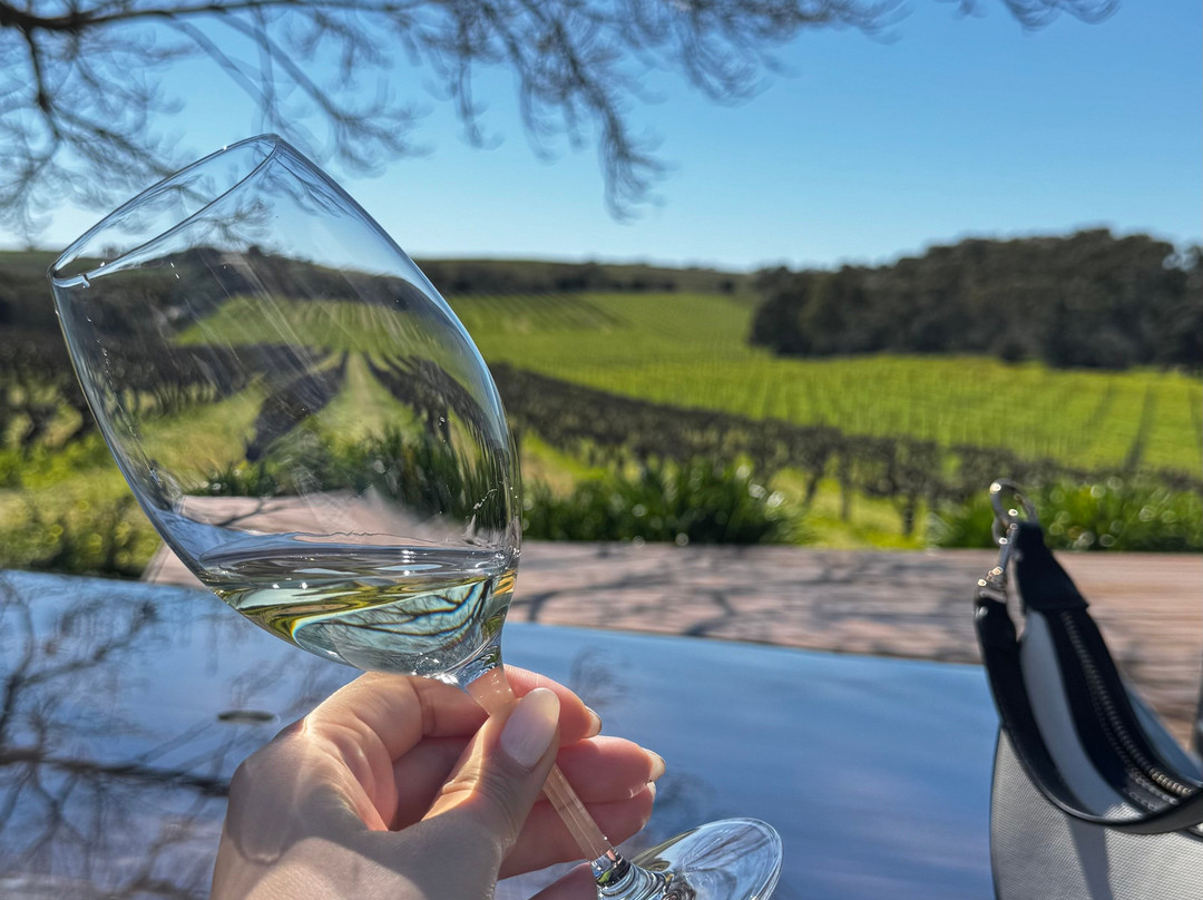 Zerella Wines-麦克拉伦谷必去景点