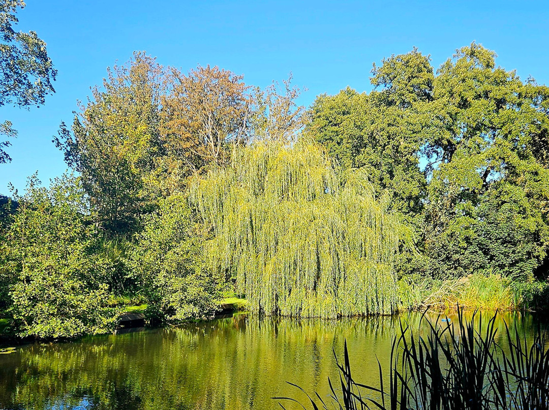 Woodlands Fishery, and Touring Park-Spilsby必去景点