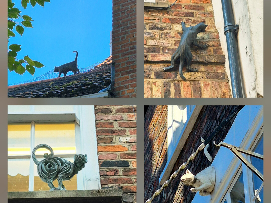 York Cat Trail-约克必去景点