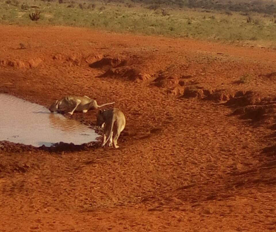 Top Africa Safaris-迪亚尼必去景点