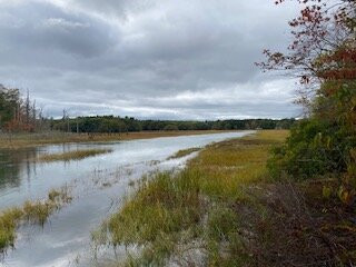 Scarborough River Wildlife Sanctuary