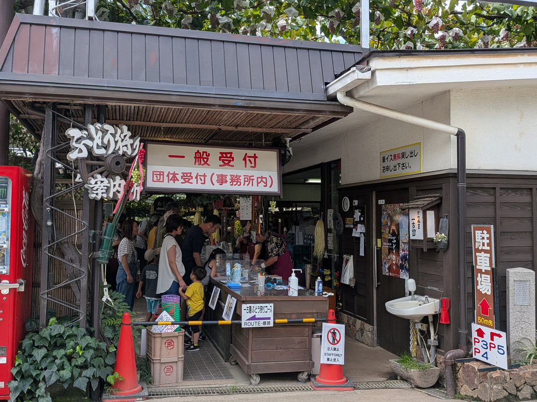 Ichikoen-甲州市必去景点