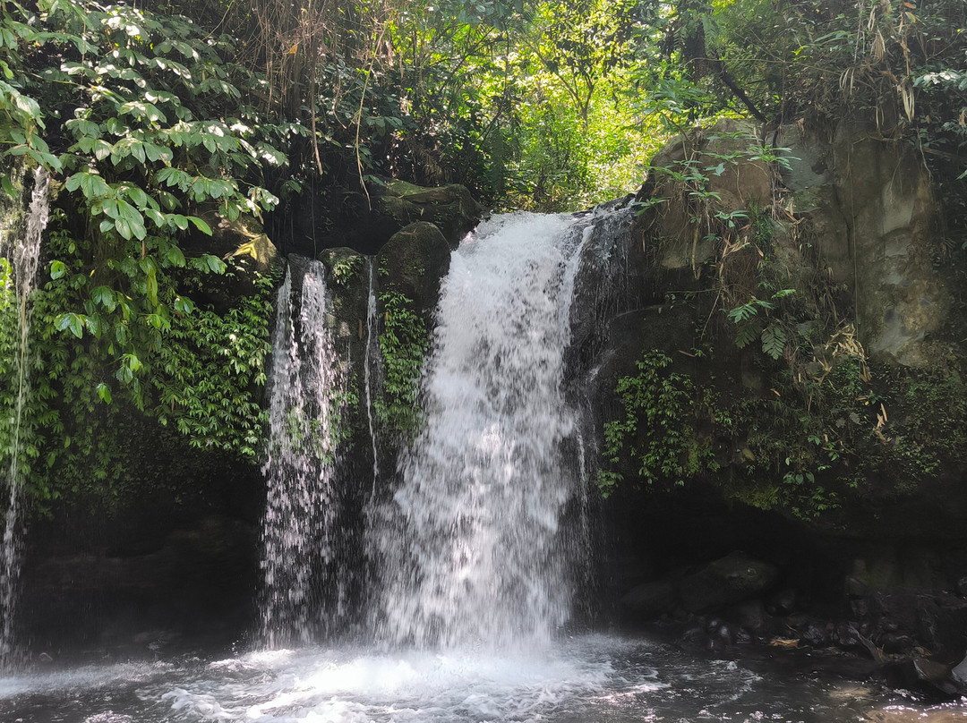 Bali and Car - Rent a car with driver-Dangin Puri必去景点
