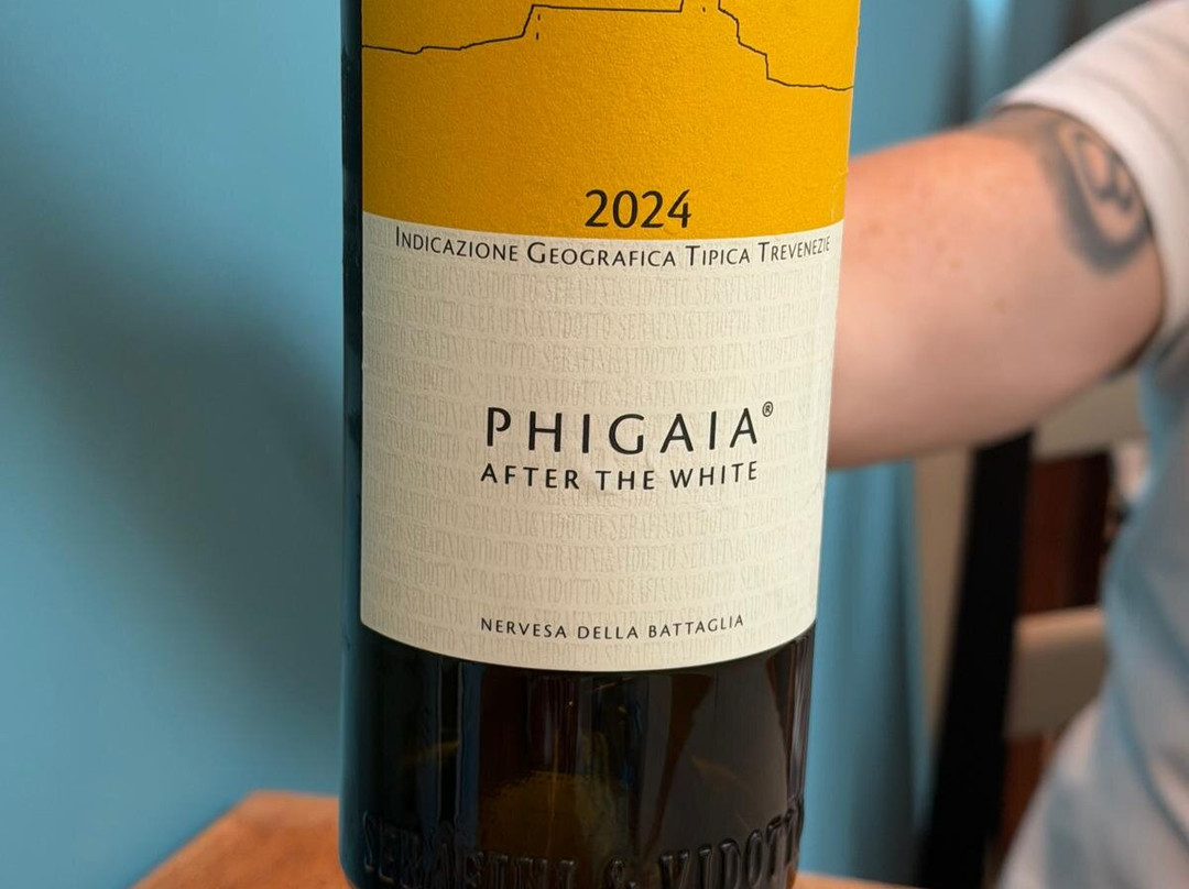 OMBRA del Gabbiano