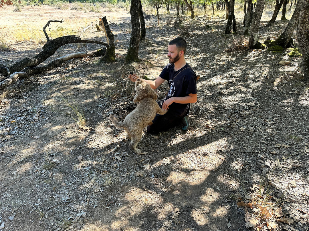 Truffle Hunting-卡兰巴卡必去景点