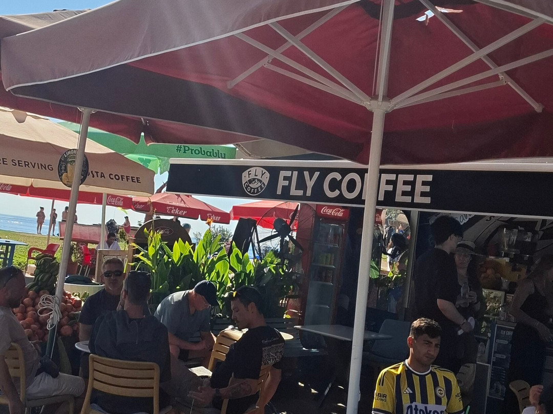 Fly Coffee
