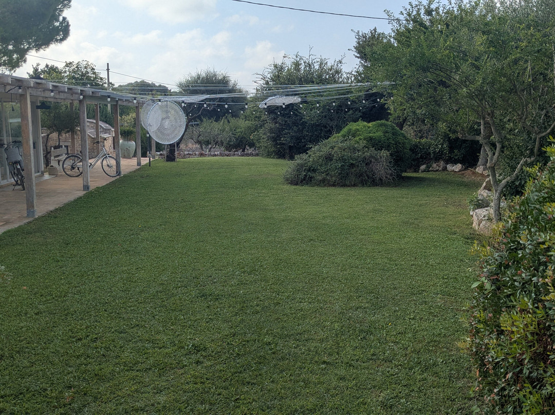 La Valle Del Cristallo Wellness & Charme主图