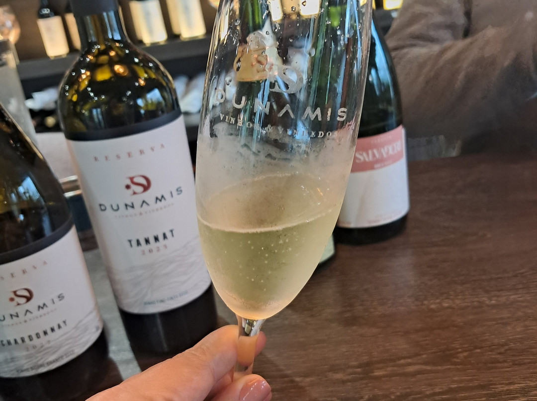 Loja - Dunamis Vinhos & Vinhedos-格拉玛多必去景点