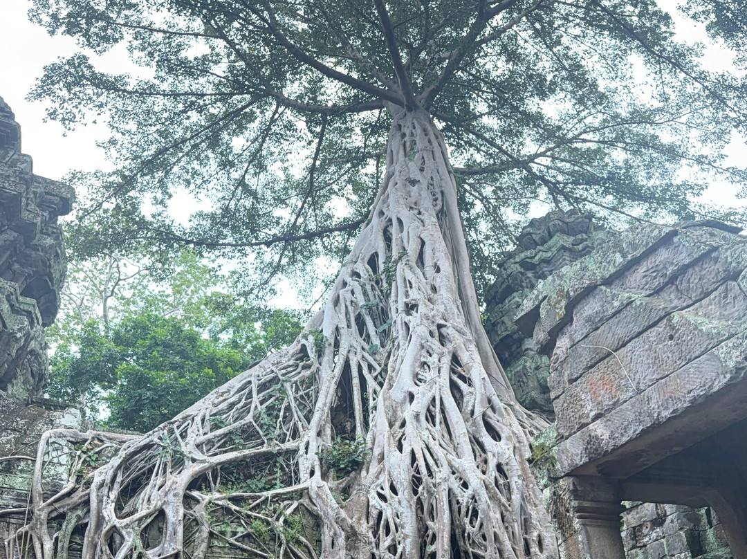八重城市度假村主图