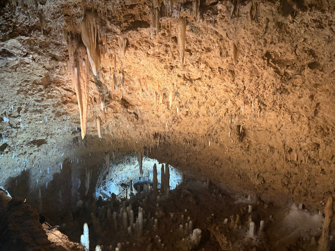 Harrison's Cave Eco-Adventure Park-Saint Thomas Parish必去景点