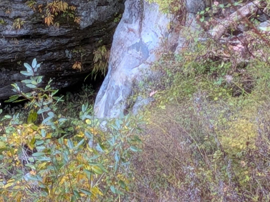 Kurobe Gorge-黑部市必去景点