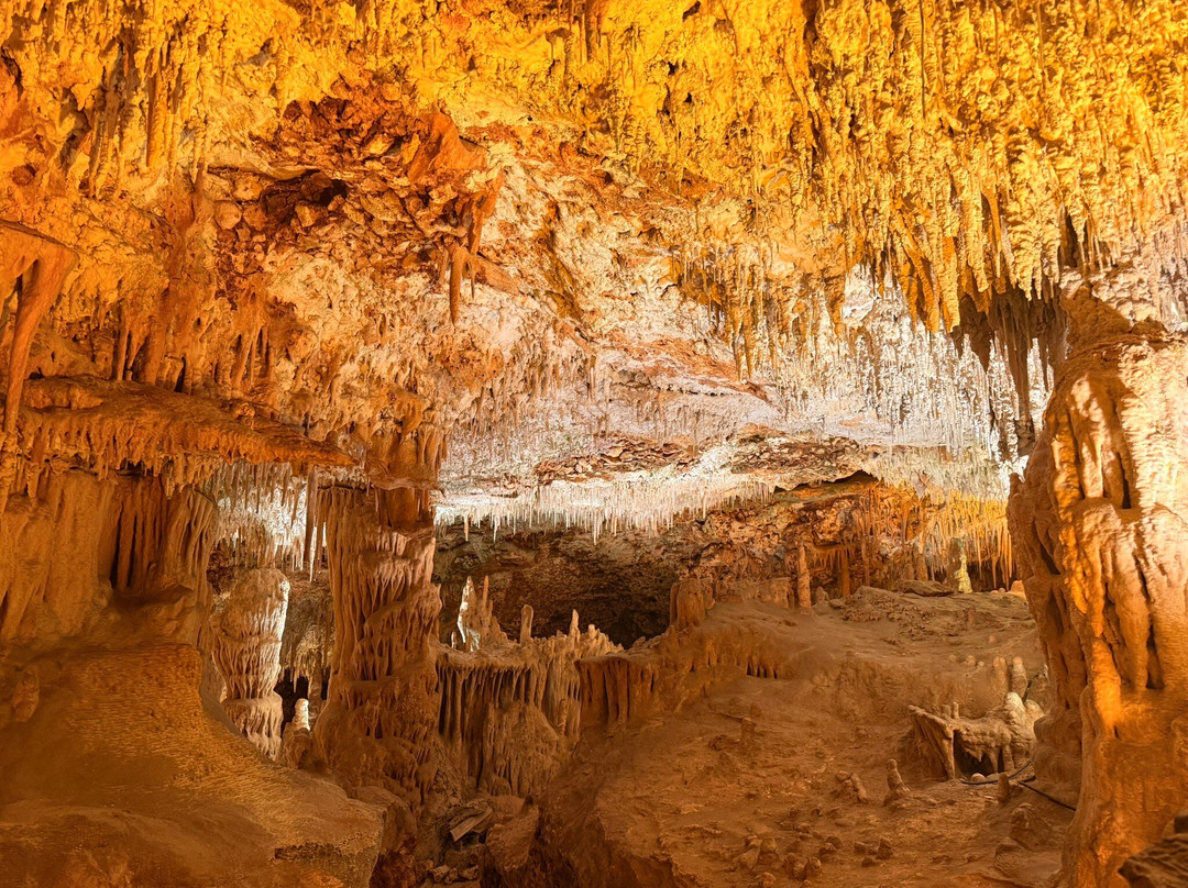 Cuevas del Drach-克里斯托港必去景点