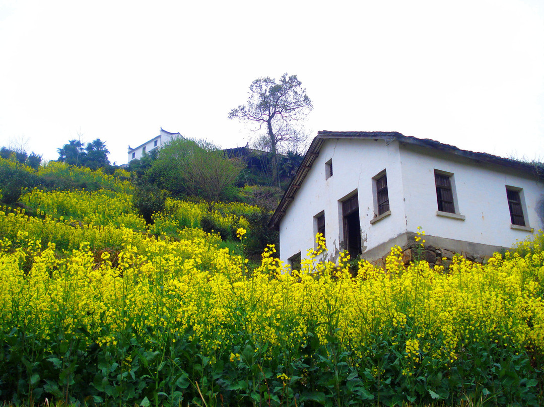 江岭梯田风光-婺源县必去景点