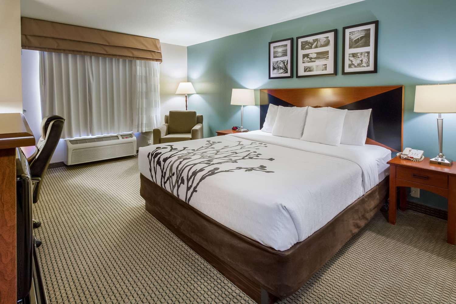 Sleep Inn & Suites-官方