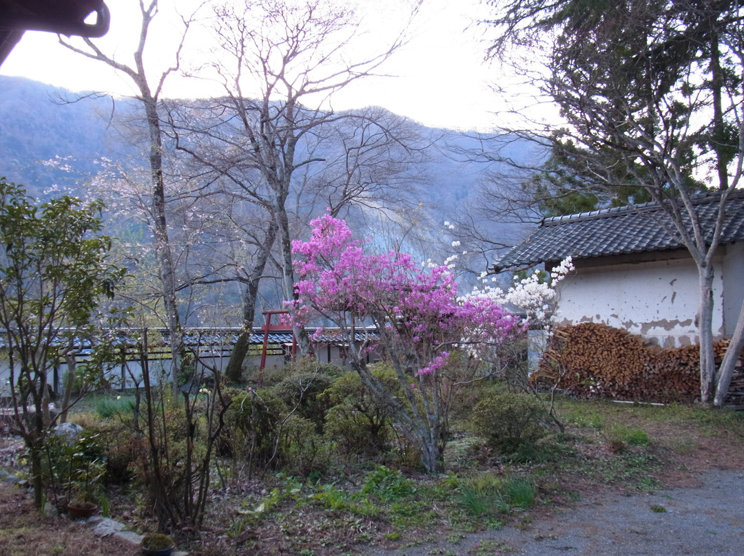 丰丘村旅游攻略图片